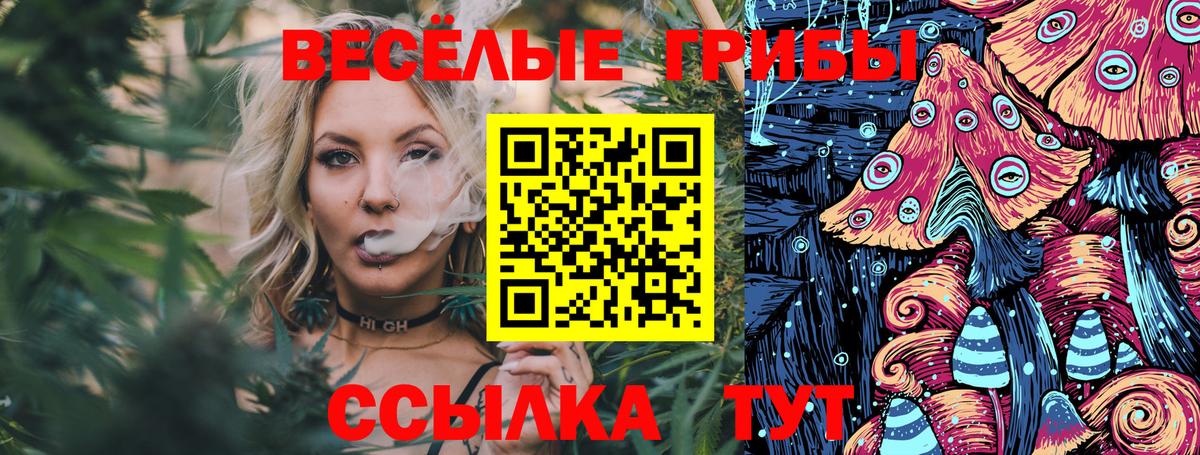 Псилоцибиновые грибы Psilocybe Шадринск