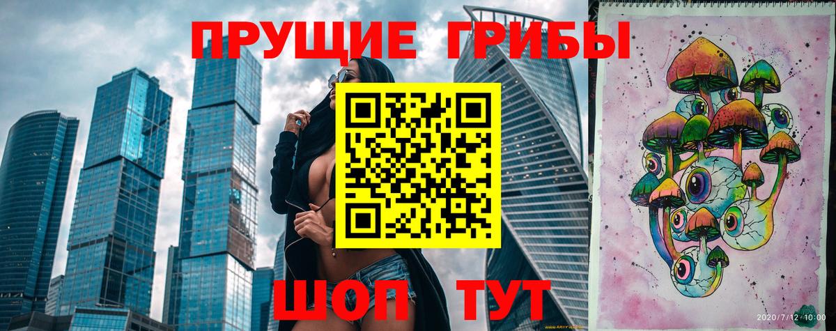 Шадринск  Псилоцибиновые грибы GOLDEN TEACHER  Галлюциногенные грибы Psilocybe  Вход с VPN 
